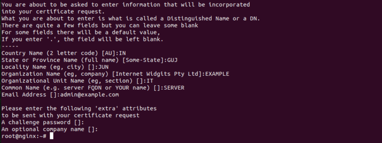 generate ssl for nginx